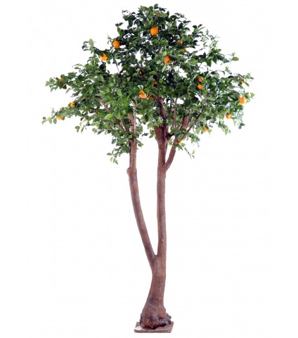 Oranger artificiel tronc double