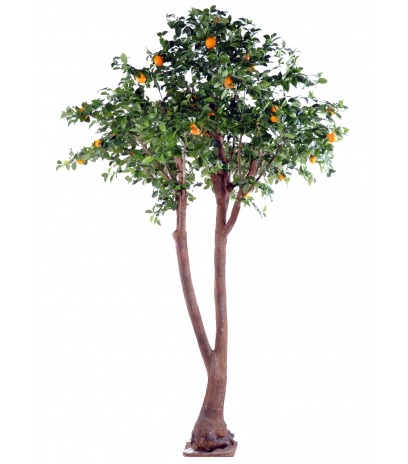 Oranger artificiel tronc double