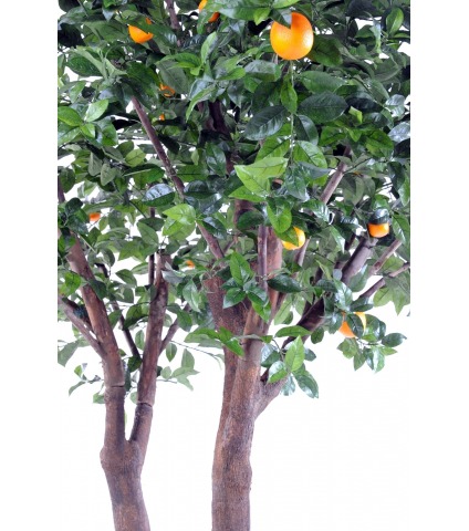 Oranger artificiel tronc double