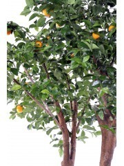 Oranger artificiel tronc double