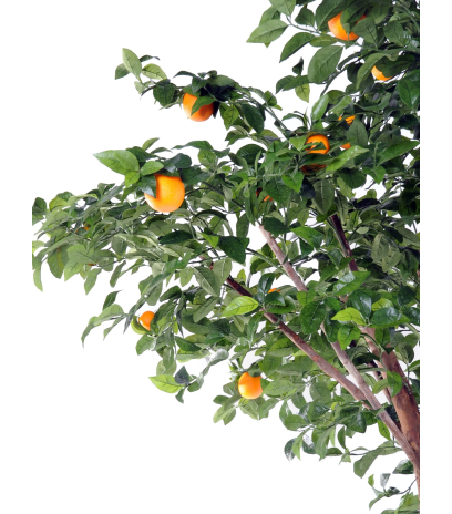 Oranger artificiel tronc double
