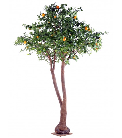 Oranger artificiel tronc double
