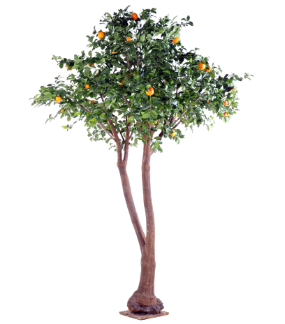 Oranger artificiel tronc double