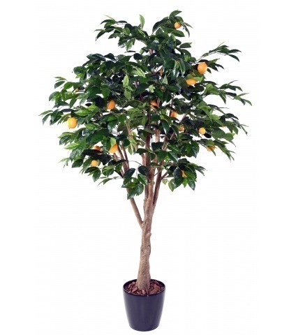 Oranger artificiel géant
