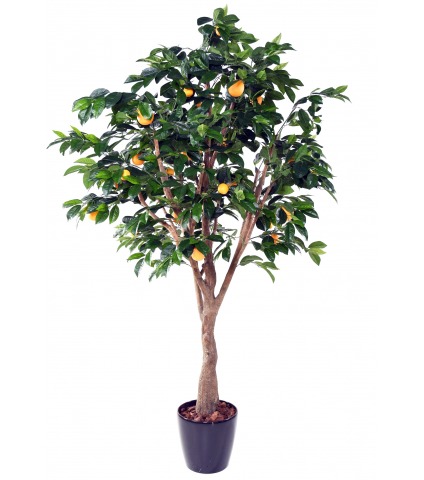 Oranger artificiel géant