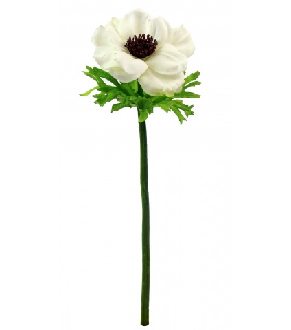 Anémone artificielle blanche