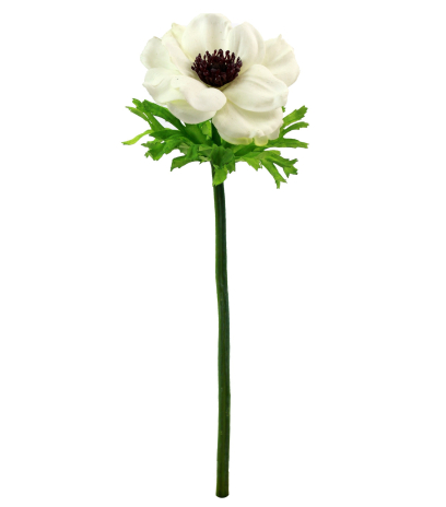 Anémone artificielle blanche