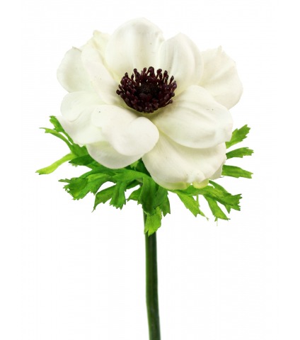 Anémone artificielle blanche