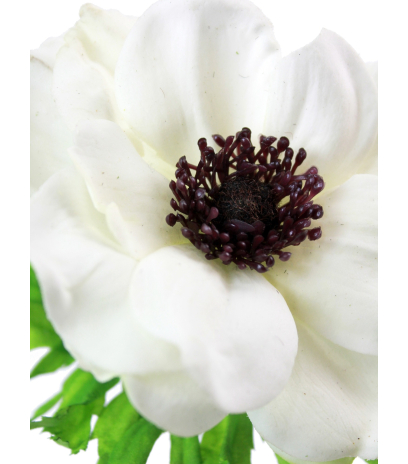 Anémone artificielle blanche
