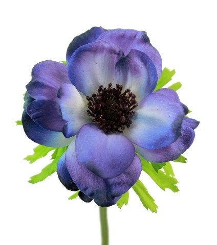 Anémone artificielle bleue