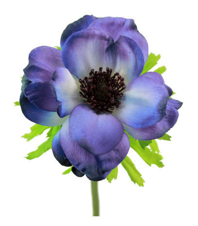 Anémone artificielle bleue