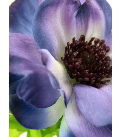 Anémone artificielle bleue