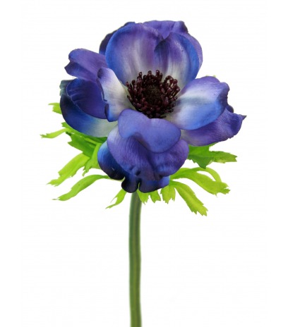 Anémone artificielle bleue