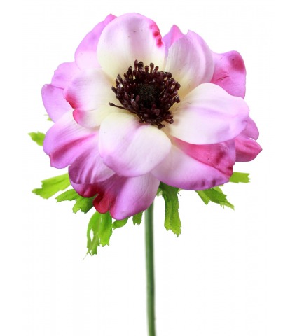 Anémone artificielle violette