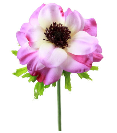 Anémone artificielle violette