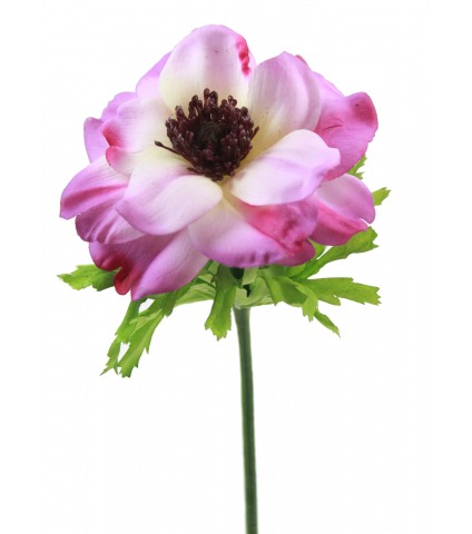 Anémone artificielle violette
