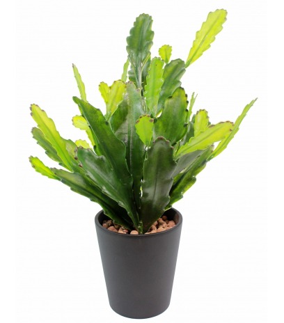 Cactus artificiel epiphyllum