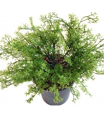 Sélaginelle artificielle