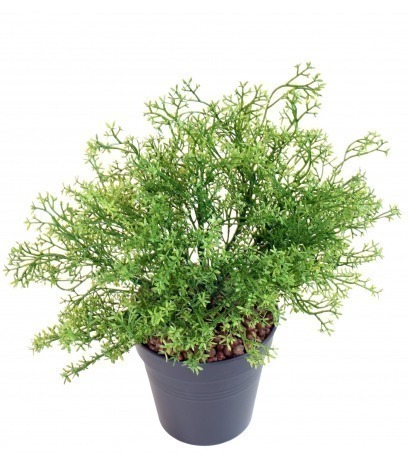 Sélaginelle artificielle