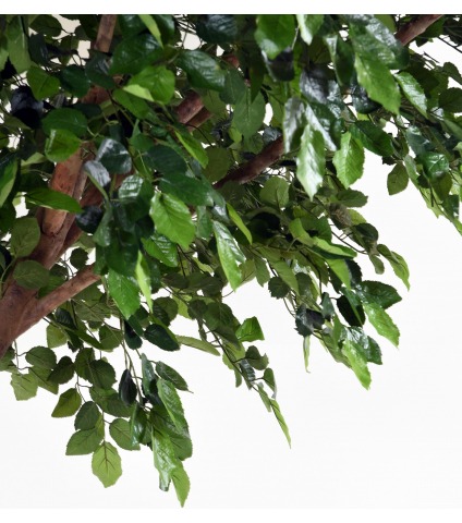 Chêne artificiel en S