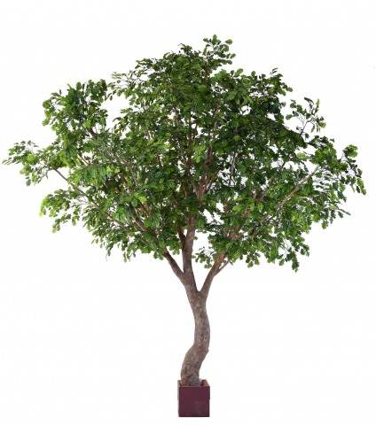 Chêne artificiel en S