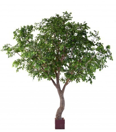 Chêne artificiel en S