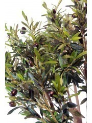 Olivier geant artificiel h 350 cm l 330 cm olives noires sur platine -  choisisse
