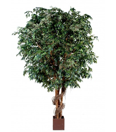 Ficus artificiel géant lianes