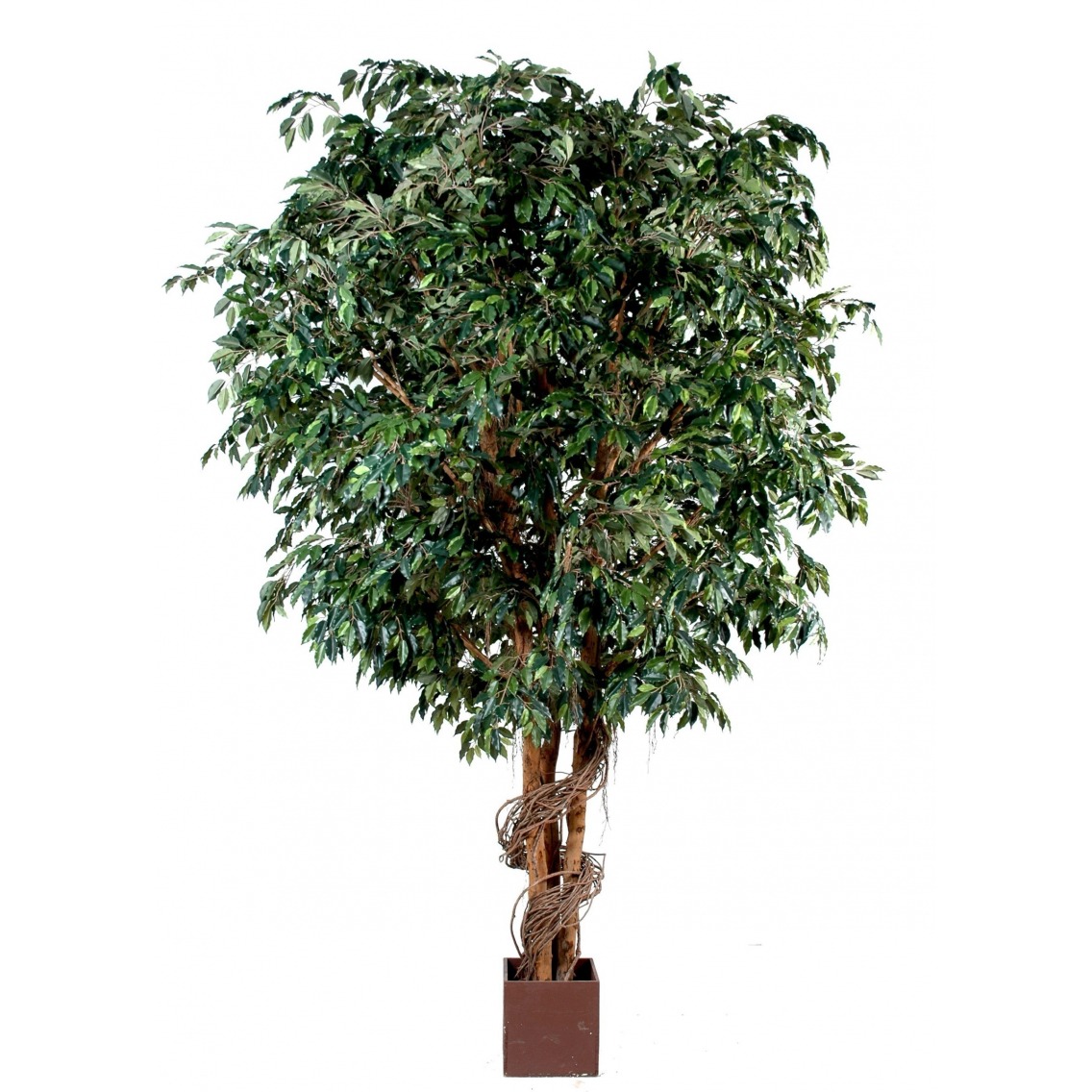Ficus artificiel géant lianes