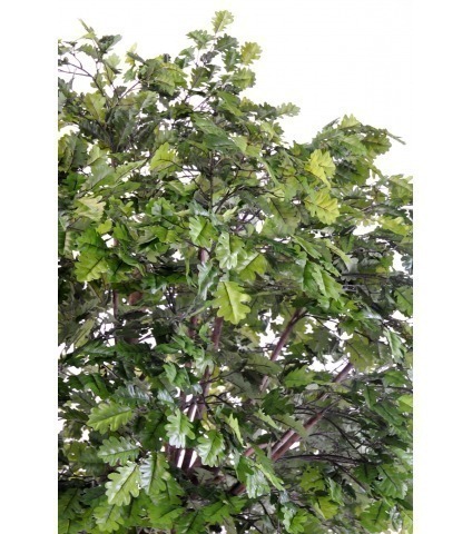 Chêne artificiel tête