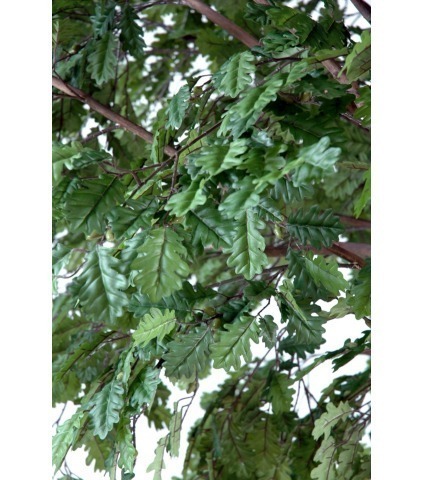 Chêne artificiel tête