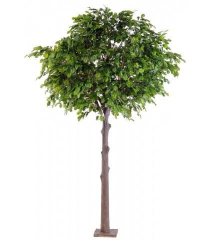 Chêne artificiel tête