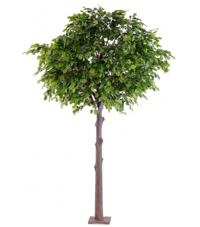 Chêne artificiel tête