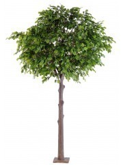 Chêne artificiel tête