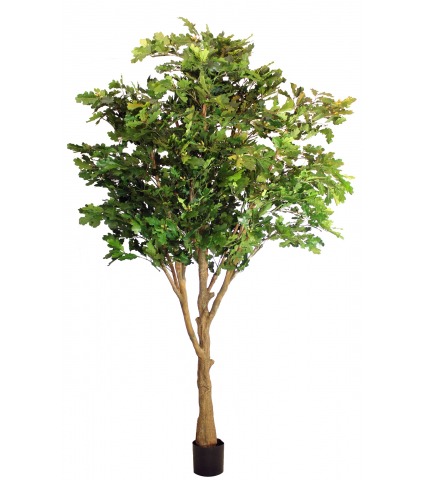 Chêne artificiel large