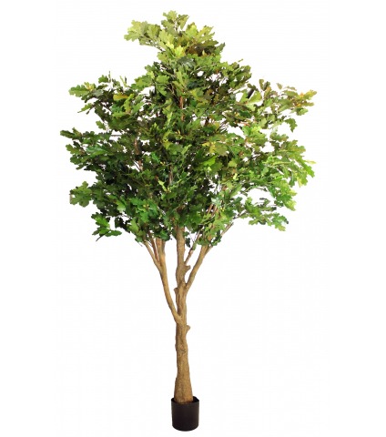 Chêne artificiel large