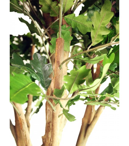 Chêne artificiel large