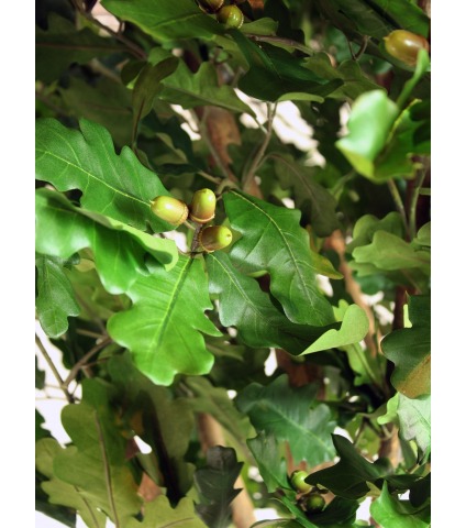 Chêne artificiel large