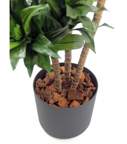 Dracaena artificiel compacta