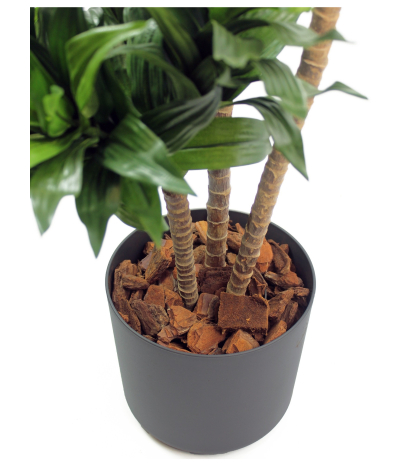 Dracaena artificiel compacta