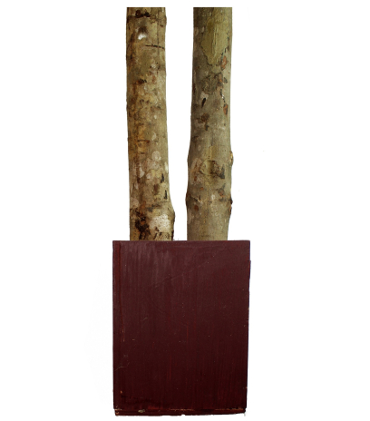 Grand ficus artificiel