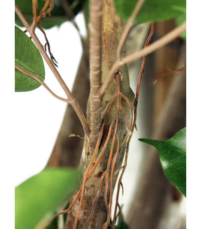 Grand ficus artificiel