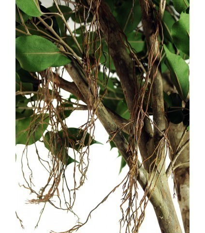 Grand ficus artificiel