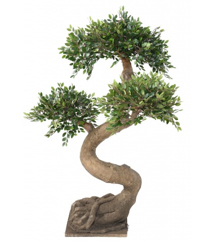 Bonsaï artificiel orme