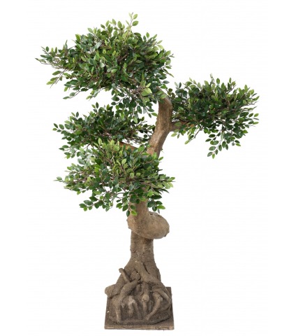 Bonsaï artificiel orme