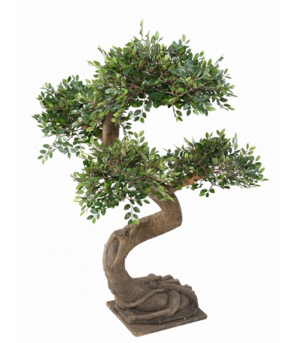 Bonsaï artificiel orme