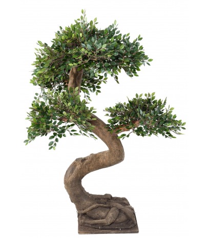 Bonsaï artificiel orme