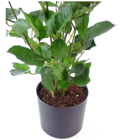 Rosier artificiel rose