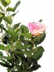 Rosier artificiel rose