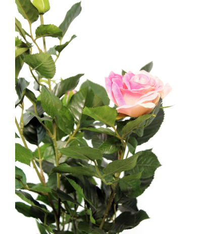 Rosier artificiel rose